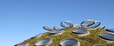 Green roof with windows