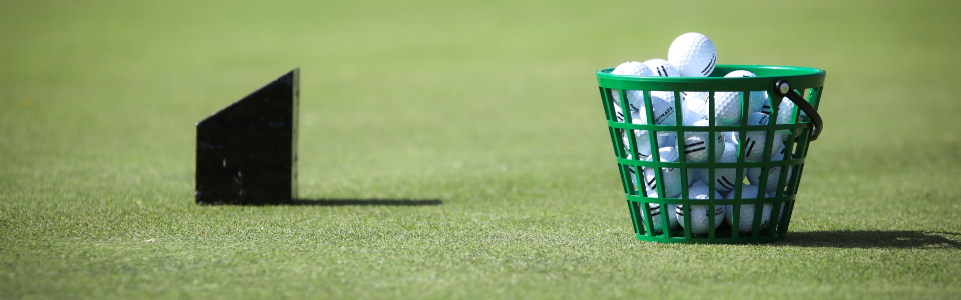 Golf balls in a basket demonstrating input