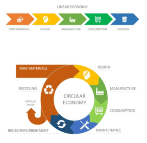 What is a Circular Economy & how can we apply it to everyday life ...