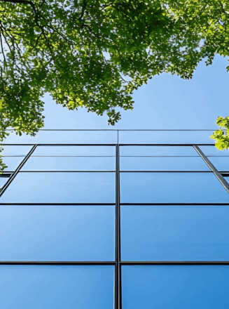 Mindset shift climate blog