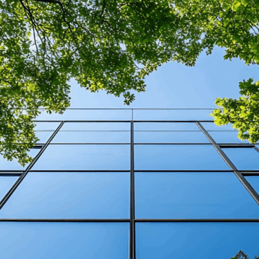 Mindset shift climate blog