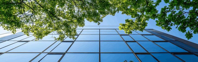 Mindset shift climate blog