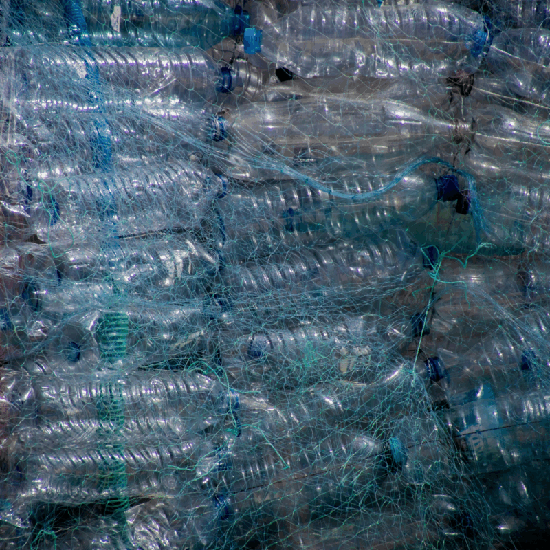 plastic bottles held together by string