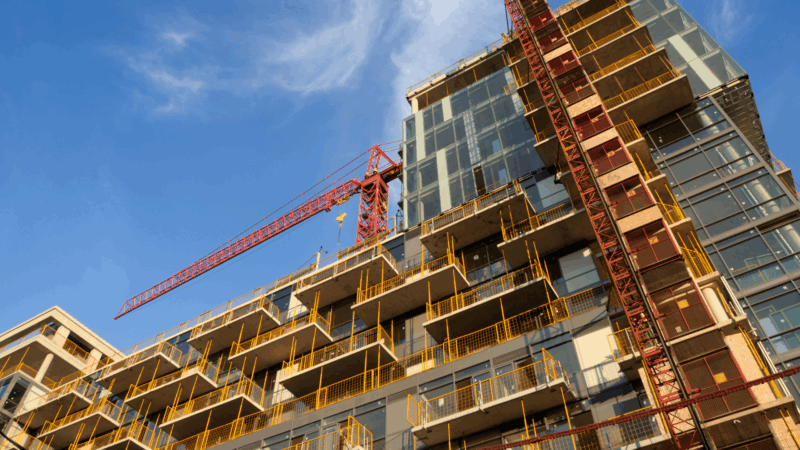 SES case study