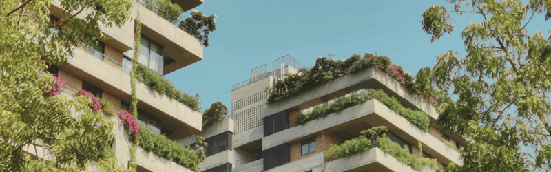 CO2 PL vs EcoVadis blog