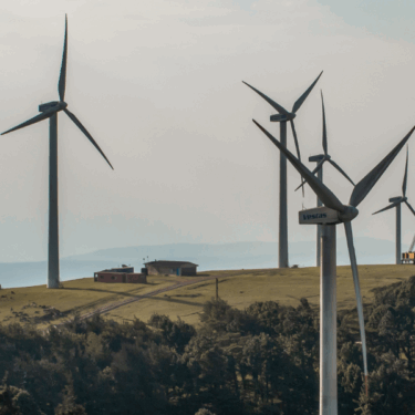 Wind turbines sat on a hill