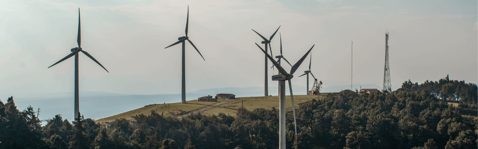 Wind turbines sat on a hill