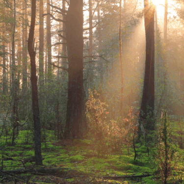 Home Banner image (1)