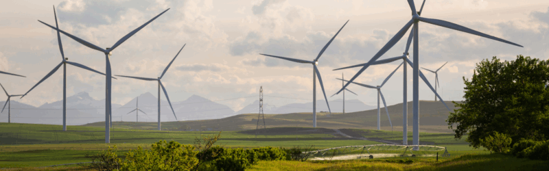 CO2 PL vs PAS 2080 blog