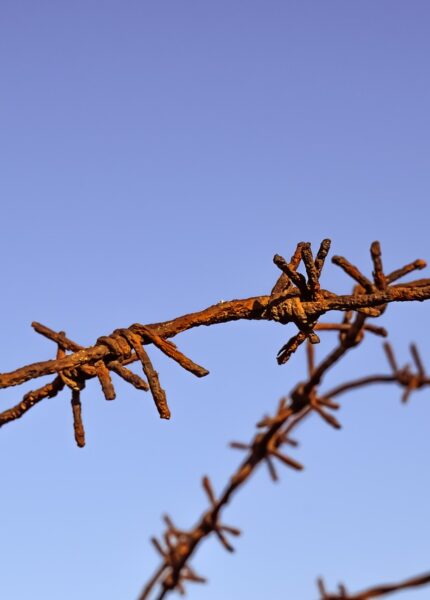 wire-2202773_1280