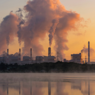 Action Sustainability CSRD